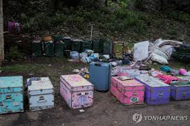 연합뉴스 - News update
