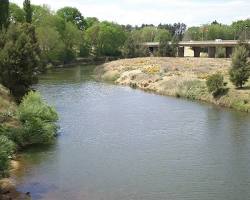 Immagine di Macquarie River Bathurst