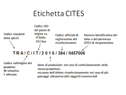 https://encrypted-tbn2.gstatic.com/images?q=tbn:ANd9GcRg1wAz0C2IlJF3IXuXkl43m81nRXklU-nL7nKJFRkeJYgrTXQp