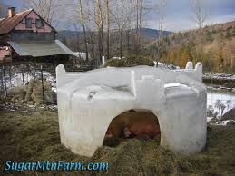 Image result for site:sugarmtnfarm.com trough OR barrel OR feeder OR tank OR waterer OR whey