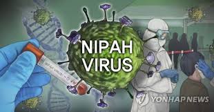 니파바이러스 - 동남아와 남아시아 전역 경계령, 백신·치료제 부재가 문제 (치명률, 인수공통감염)