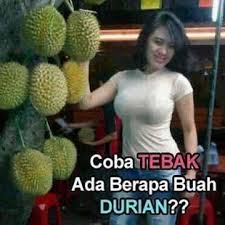 Hasil gambar untuk foto lucu