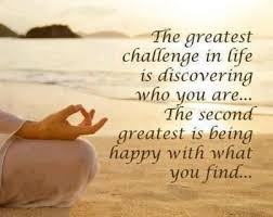 Daily Quotes: The Greatest Challenge In Life Is Discovering Who ... via Relatably.com