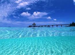 Image result for pulau ular cherating
