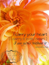 Blog on Infant Loss and trying to survive it. #infant loss #baby ... via Relatably.com