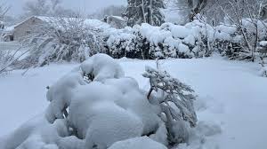 How much snow fell in South Jersey during the snowstorm?