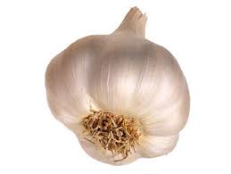 Image result for garlic