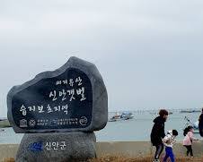 신안 천사섬 분재공원 카페