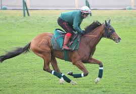 【コロネーションＣ】まさか…カランダガンが４０馬身以上の大差で敗れる 荒天で末脚不発の４着 Ｇ１・５連勝でストップ（馬トク報知）