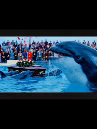 Entertainmenta Pro (@allasmrworld) | TikTok