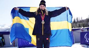 Trend Google: ebba arsjö