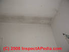 Mold in House on Walls, Ceiling, Windows, How to Remove, Causes