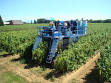 Tree fruit growers still looking for a mechanical harvester - Fruit