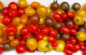 Image result for ‫صور البندورة‬‎