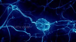 Resultado de imagen para avances tecnologicos en medicina