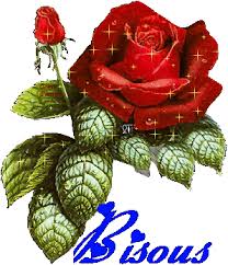 Résultat de recherche d'images pour "belle fleur"