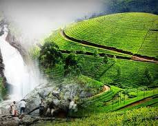 Image of Munnar, Kerala picnic spot