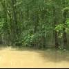 Story image for flash flood from KXII-TV