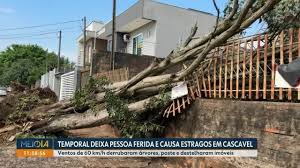Temporal deixa pessoa ferida e causa estragos em Cascavel