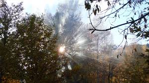 R&eacute;sultat de recherche d'images pour "image gratuite de braux"