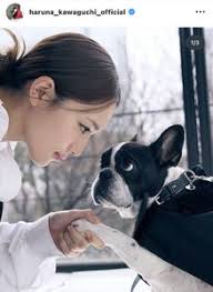 News source: スポーツ報知