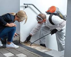 Image of pest control technician inspecting a home