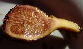 Resultado de imagem para moscatel preto figs