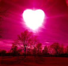 Image result for love in life