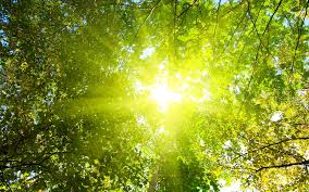 Image result for sunshine