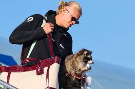 haaland raccoon Picture