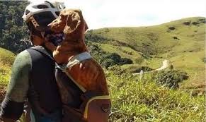 Una Storia di Amore e Gentilezza: Il Ciclista e il Cagnolino