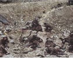 Jeff Wall Dead Troops Talk resmi