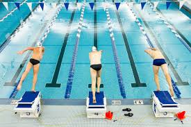 Image result for swim meet