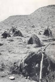 Image result for paiute indians