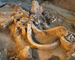 Image of Waco Mammoth National Monument