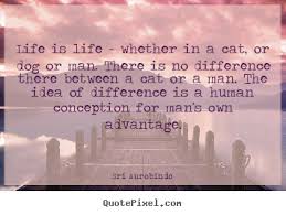 Create picture quotes about life - Life is life - whether in a cat ... via Relatably.com