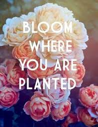 Floral Quotes on Pinterest | Flower Quotes, Wedding flowers and ... via Relatably.com