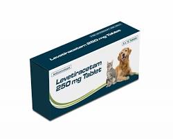 Image of Levetiracetam pills for dogs