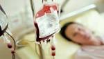 اخبار العلماء يحذرون من نقل