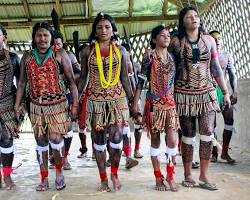 Image of Traditional indigenous village in the Amazon