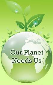 Image result for Tree plantation