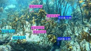 네이트 뉴스 - News update