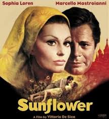 в 1970 году в Париже состоялась премьера художественного фильма «Подсолнухи / Sunflower» (оригинальное название: I Girasoli / Les Fleurs du soleil; ... - 92631560_1969podsolnuhib