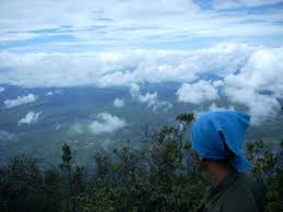 Hasil gambar untuk pecinta alam indonesia