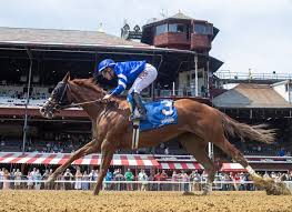Thoroughbred Daily News - News update