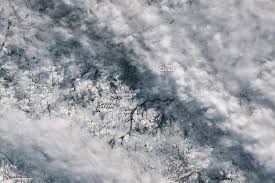 NASA Earth Observatory (.gov) - News update