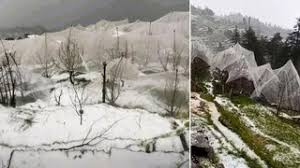 हिमाचल प्रदेश में दो दिन भारी पड़ेगा मौसम, 6 जिलों के लिए ऑरेंज अलर्ट जारी; भारी ओलावृष्टि और बर्फबारी की चेतावनी