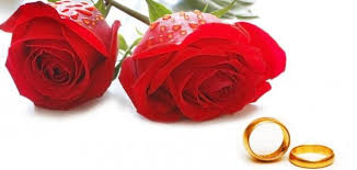 نتيجة بحث الصور عن بارك الله لكما وبارك عليكما وجمع بينكما في خير