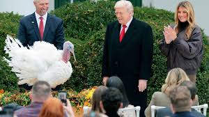 Día de Acción de Gracias 2025 en EE.UU.: Horarios y Servicios Disponibles