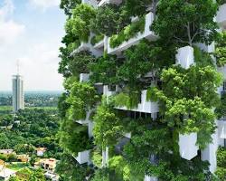 Image of Vertical planters for apartments